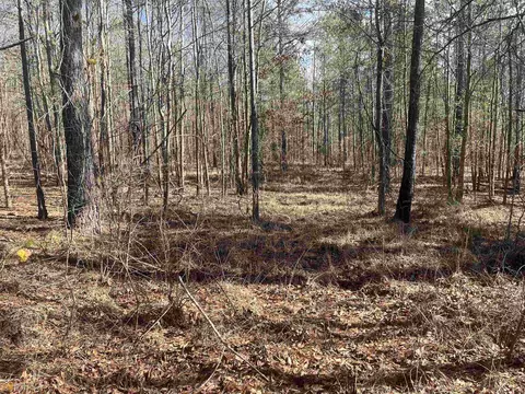 104 Tee Dr, Forsyth, GA 31029 photo 6