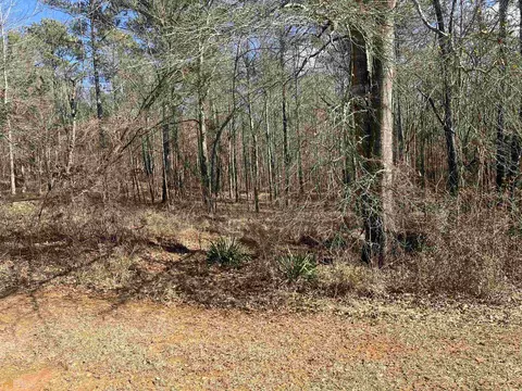 104 Tee Dr, Forsyth, GA 31029 photo 2