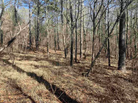 106 Tee Dr, Forsyth, GA 31029 photo 5