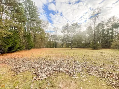 154 Rosecliff Rd, Milner, GA 30257 photo 17