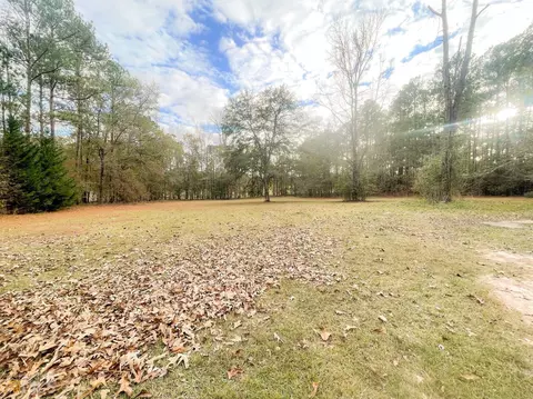 154 Rosecliff Rd, Milner, GA 30257 photo 18