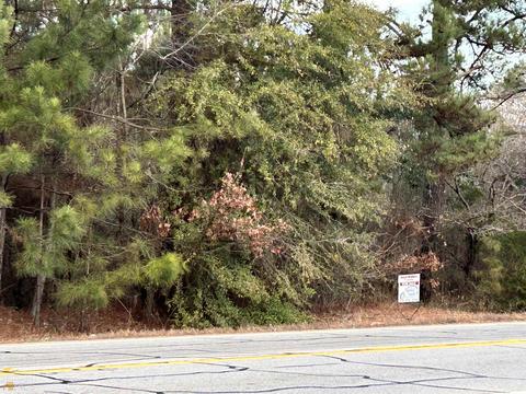 2229 E 36 Hwy, Jackson, GA 30233 photo 3