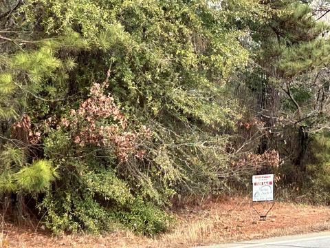 2229 E 36 Hwy, Jackson, GA 30233 photo 5