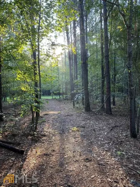 170 Terrell Rd, Elko, GA 31025 photo 32