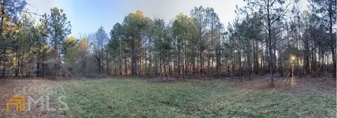 170 Terrell Rd, Elko, GA 31025 photo 30