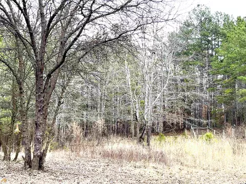 305 Pondarosa Rd, Talmo, GA 30575 photo 22