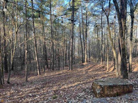1117 N State Line Rd, Lagrange, GA 30240 photo 14