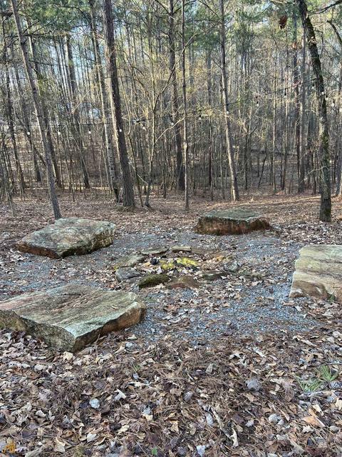 1117 N State Line Rd, Lagrange, GA 30240 photo 9