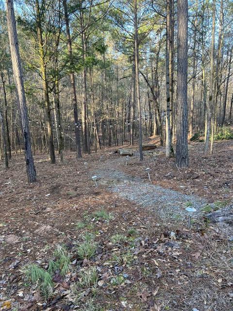 1117 N State Line Rd, Lagrange, GA 30240 photo 11