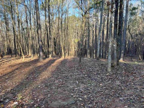 1117 N State Line Rd, Lagrange, GA 30240 photo 21