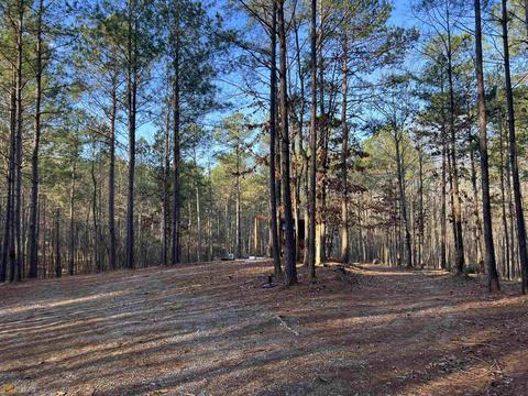 1117 N State Line Rd, Lagrange, GA 30240 photo 2