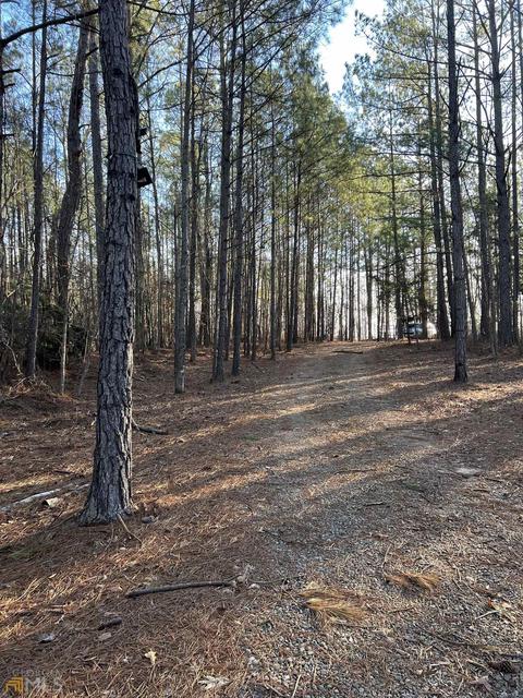 1117 N State Line Rd, Lagrange, GA 30240 photo 4