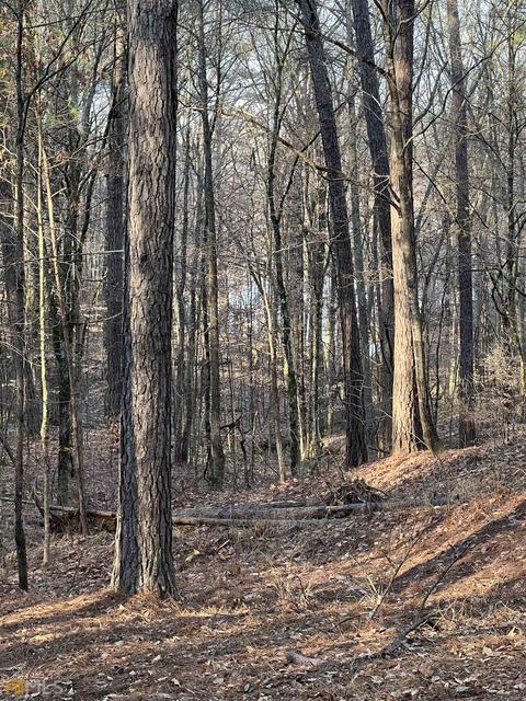 1117 N State Line Rd, Lagrange, GA 30240 photo 13