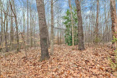 162 Grapevine St, Cornelia, GA 30531 photo 26