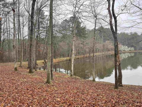 65 Powell Dr, Bowdon, GA 30108 photo 14