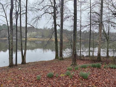 65 Powell Dr, Bowdon, GA 30108 photo 15