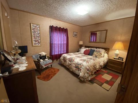65 Powell Dr, Bowdon, GA 30108 photo 40