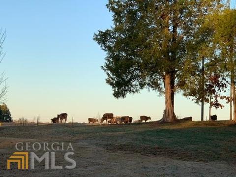 701 Fairview Rd, Brooks, GA 30205 photo 51