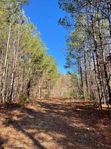 0 County Road 18, Roanoke, AL 36274