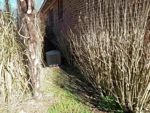 629 Chestnut Dr, Jackson, GA 30233 photo 17