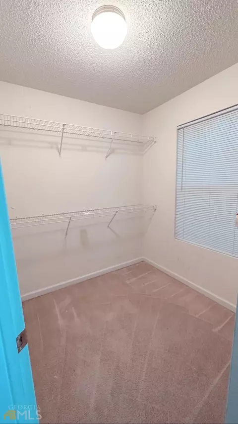 1756 Fielding Way, Hampton, GA 30228 photo 10