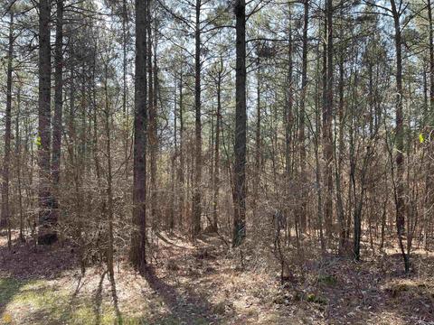 4109 Fuller Rd, Talmo, GA 30575 photo 70