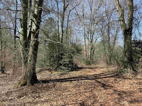 4109 Fuller Rd, Talmo, GA 30575 photo 32