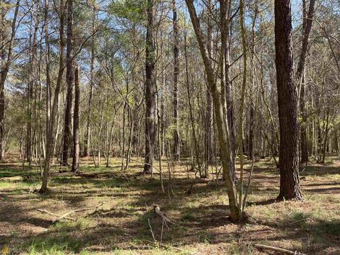 4109 Fuller Rd, Talmo, GA 30575 photo 59