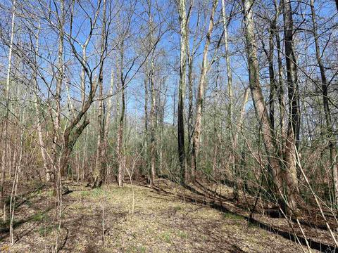 4109 Fuller Rd, Talmo, GA 30575 photo 44