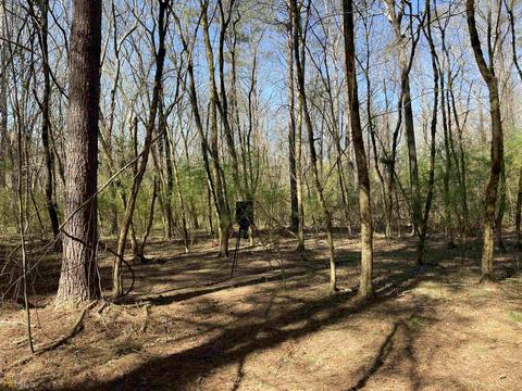 4109 Fuller Rd, Talmo, GA 30575 photo 56
