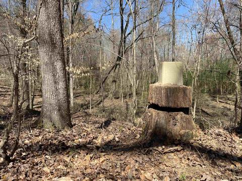 4109 Fuller Rd, Talmo, GA 30575 photo 35