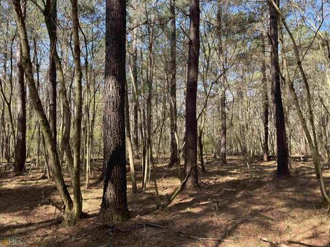 4109 Fuller Rd, Talmo, GA 30575 photo 57