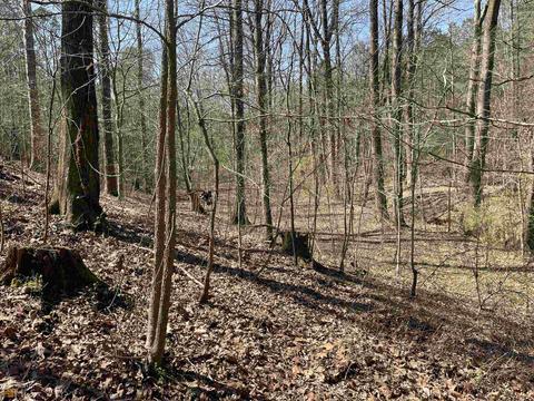 4109 Fuller Rd, Talmo, GA 30575 photo 39