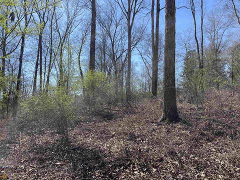 4109 Fuller Rd, Talmo, GA 30575 photo 42