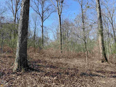 4109 Fuller Rd, Talmo, GA 30575 photo 41