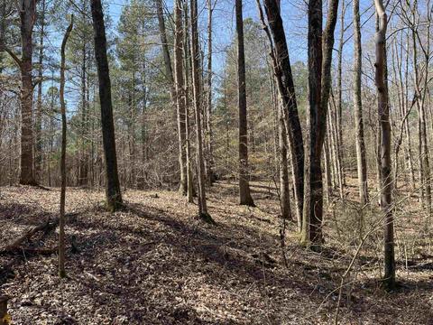 4109 Fuller Rd, Talmo, GA 30575 photo 36