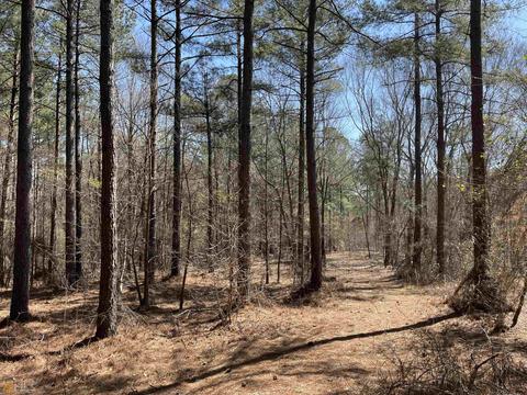 4109 Fuller Rd, Talmo, GA 30575 photo 22