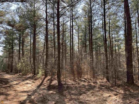 4109 Fuller Rd, Talmo, GA 30575 photo 69