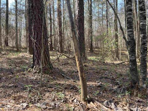 4109 Fuller Rd, Talmo, GA 30575 photo 47