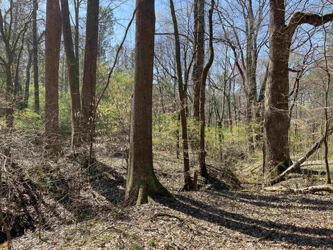 4109 Fuller Rd, Talmo, GA 30575 photo 38