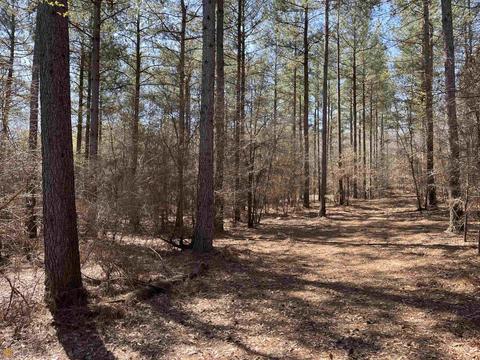 4109 Fuller Rd, Talmo, GA 30575 photo 25