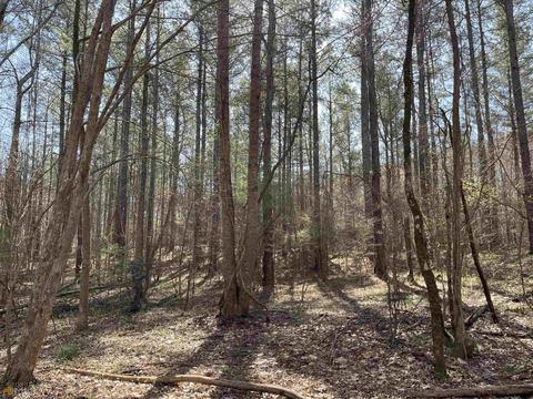 4109 Fuller Rd, Talmo, GA 30575 photo 52