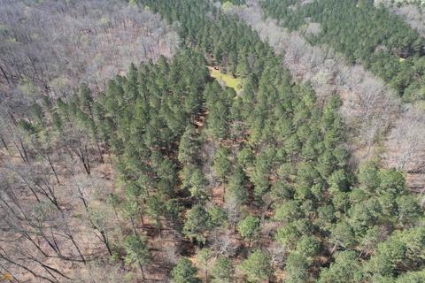 4109 Fuller Rd, Talmo, GA 30575 photo 74