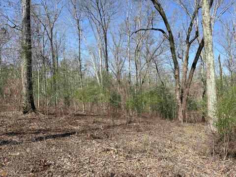 4109 Fuller Rd, Talmo, GA 30575 photo 40