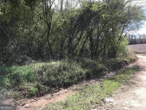 0 Mt Pilgrim Rd, Greenville, GA 30222