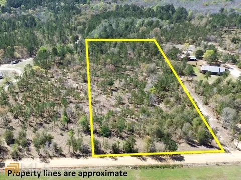 0 Ben Grady Collins Rd, Portal, GA 30450