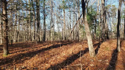 0 Laurel Trce, Blue Ridge, GA 30513