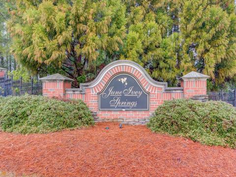 238 Ivey Dr, Bethlehem, GA 30620 photo 46