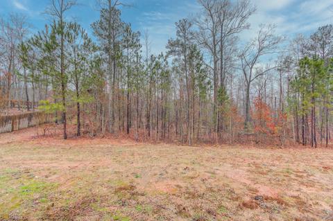 238 Ivey Dr, Bethlehem, GA 30620 photo 43