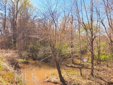 380 Crowell Rd, Covington, GA 30014 photo 34